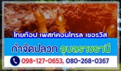 Termite control Ubon-Sisaket-Amnat Charoen-Yasothon